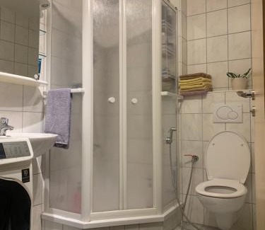 Schenkendobern Casa | Helles Dachzimmer