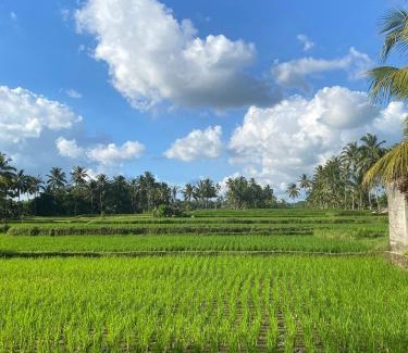 Tegallalang Hotel | Hening suites Ubud