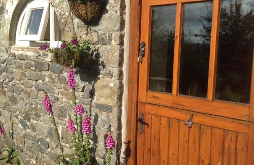 Llandovery Cama Y Desayuno | Henllys Estate B and B