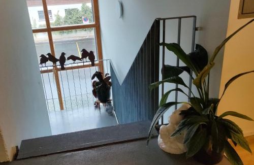 Martisberg Apartamento | Herberge Balmweid 1