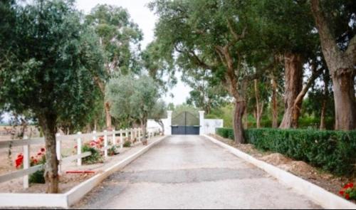 Almeirim Cama Y Desayuno | Herdade de Santa Maria