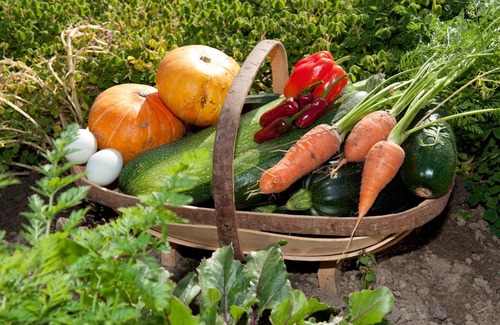 Dunedin Cama Y Desayuno | Hereweka Garden Retreat