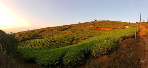 Udumbanchola Complejo | Heritage Farms Mountain Eco Retreat