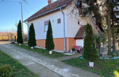 Mladenovac Casa | Heritage kuća za odmor