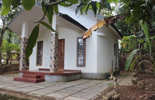 Panamaram Villa | Casa principal: verde, ecológica, natural, vida tribal, complejo turístico, vida agrícola