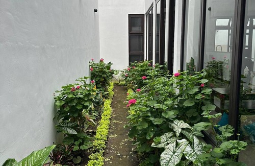 Jocotenango Casa | Casa Martín