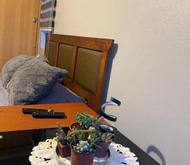 Concepcion Apartamento | Hermosa vista laguna tres Pascualas