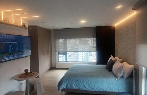 La Carolina Apartamento | Hermoso Estudio en la carolina Piso 13 con vista!