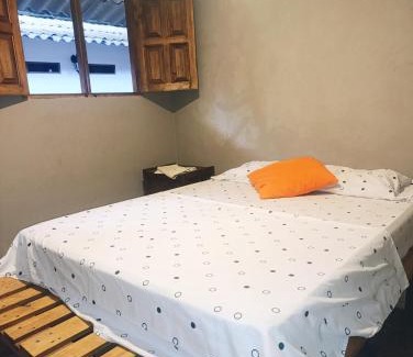 Palomino Casa | Hermoso Palomino