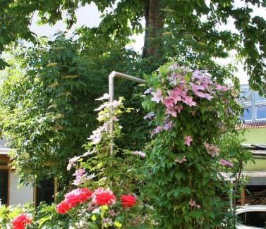Worms Apartamento | Herrenhof