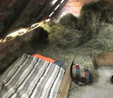 Berka/Werra Otro | HEUHOTEL FARM Gemeinschaftsbad Own Sleeping bag Free Wifi