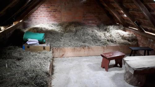 Berka/Werra Apartamento | HEUHOTEL FARM Own sleeping bag Free WiFi