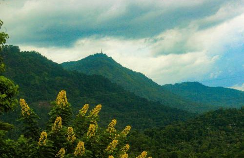 Ganga Ihala Korale Cabina | HEYCOCK CEYLON HlLL