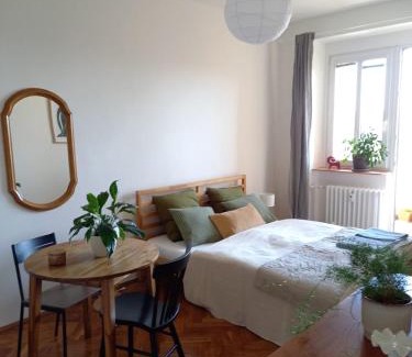 Vrsovice Apartamento | Hezký apartman s balkonem