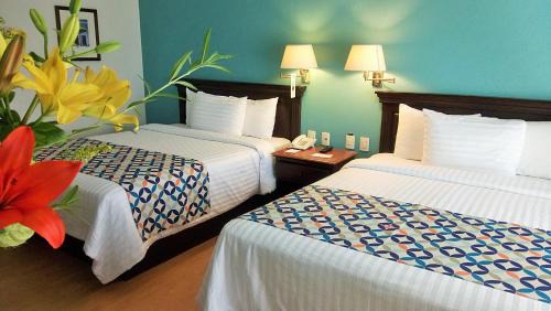 Zapopan Hotel | HG Hotel