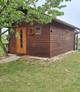 Ljutomer Casa | Hiška Jureš