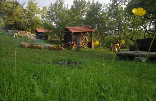 Vultureni Otro | Hidden Garden Kide(Chidea)
