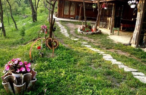 Vultureni Otro | Hidden Garden Kide(Chidea)