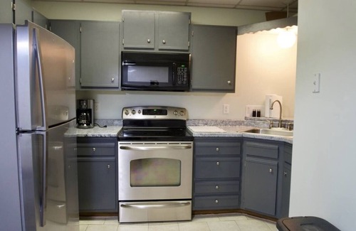 Candler Apartamento | Hidden Gem w/ Full kitchen, fast wifi, workspace and firepit