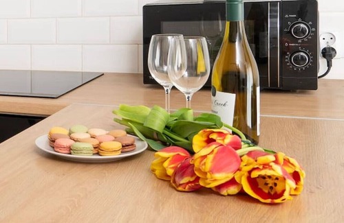 Lodz Apartamento | Hideaway Apartment - Terrace with Garden & Parking by Rentujemy