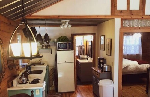 Mills River Cabina | Hideaway Cabin in the Woods- Pond, Trails & Nature