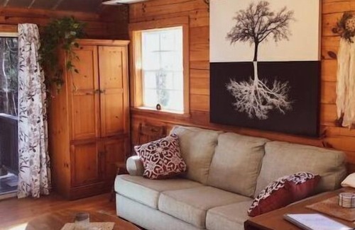 Mills River Cabina | Hideaway Cabin in the Woods- Pond, Trails & Nature