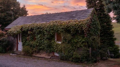Penguin Casa | Hideaway Farmlet Romantic Cottage with Miniature Goats