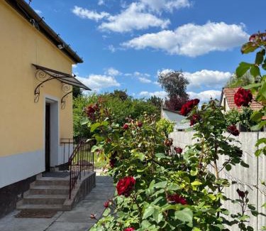 Rakosszentmihaly Apartamento | Hideaway house with garden & freeparking