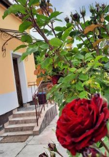 Rakosszentmihaly Apartamento | Hideaway house with garden & freeparking