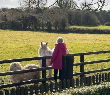 Corofin Casa | Hideaway Huts in the Burren