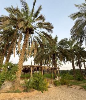 Al Kharj Casa | High garden