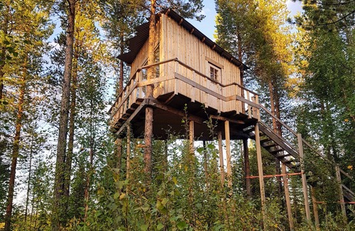 Arvidsjaur Casa | High in the trees in northern Sweden with lake views and moose under the terrace
