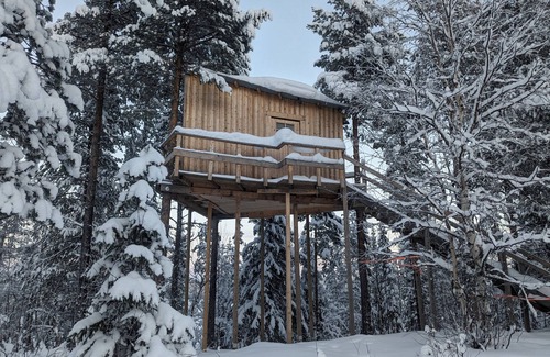 Arvidsjaur Casa | High in the trees in northern Sweden with lake views and moose under the terrace