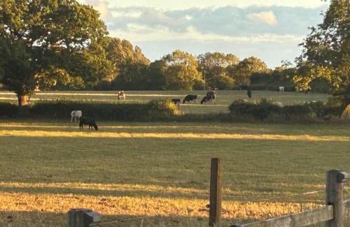 Pickhill Casa | High Oak Holiday Cottage
