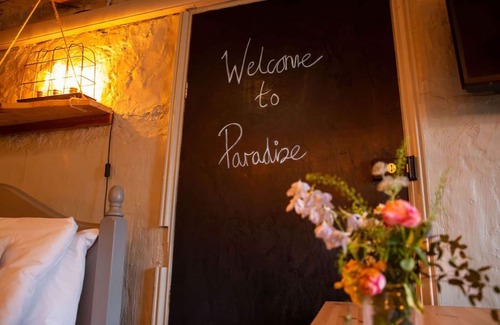 Easterside Otro | High Paradise Farm