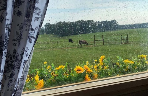 Dunlap Cabaña | Highland Cottage at Little Tail Farms