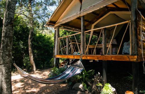 Heidelberg Cabina | HighlandsView