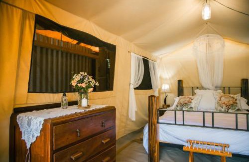 Heidelberg Cabina | HighlandsView