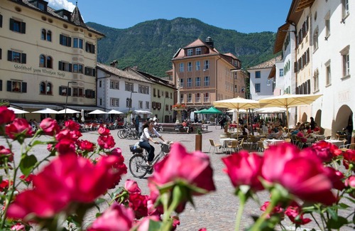 Caldaro Sulla Strada del Vino Apartamento | Hike, cycle and enjoy, Kaltern am See