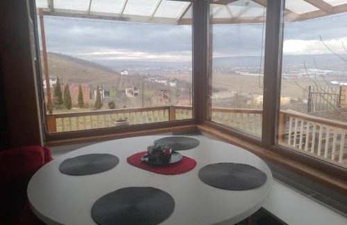 Apahida Casa | Hill House with City view