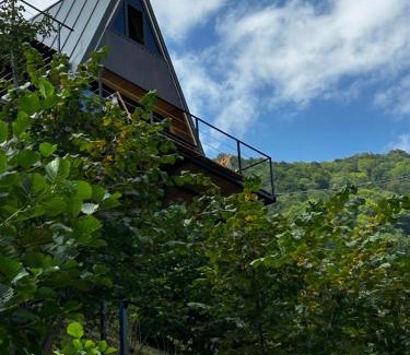 Adjara Casa | HillSide Cottage-ჰილსაიდ კოტეჯი