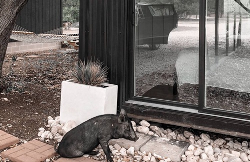 Uvalde Otro | Hilltop Artist Cabin