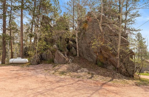 Custer Casa | Hilltop Cottage