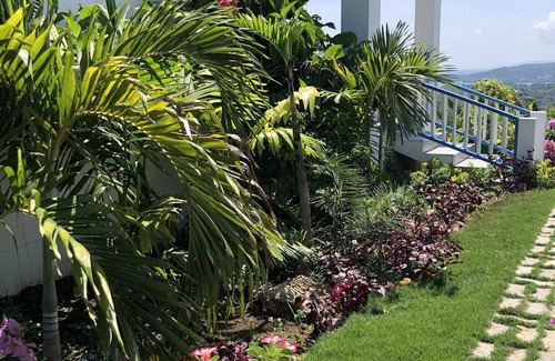 Lucea Apartamento | Hilltop Studio with ocean views, free daily breakfast and airport pickup.