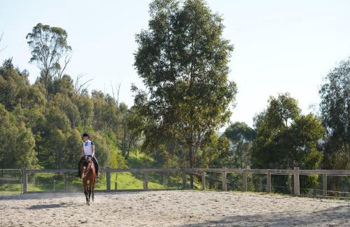 Strath Creek Casa | Hillview, Halls on Falls Homestead
