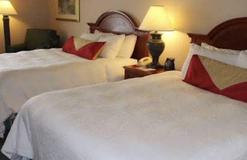 Wisconsin Dells Cabina | Hilton Garden Inn (Northeast)