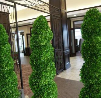 New Braunfels Hotel | Hilton Garden Inn New Braunfels