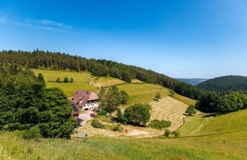 Hornberg Casa | Hinterhauensteinhof