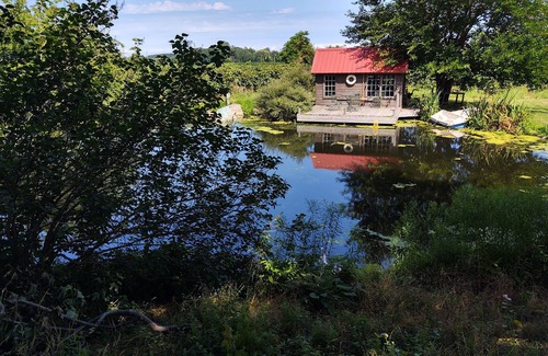 Westfield Casa | A Taste of Lake Erie Wine Country en el oeste de Nueva York