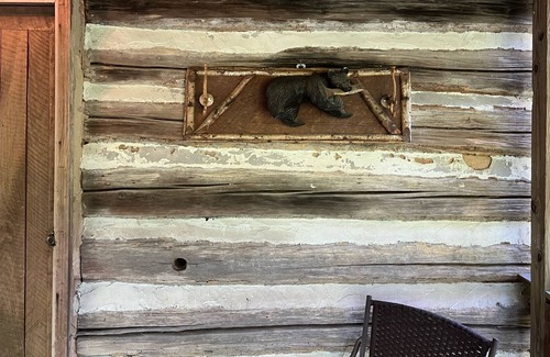 Johnson City Cabina | Historic Eclectic Cabin Near the Trophy Section of the Watauga River
